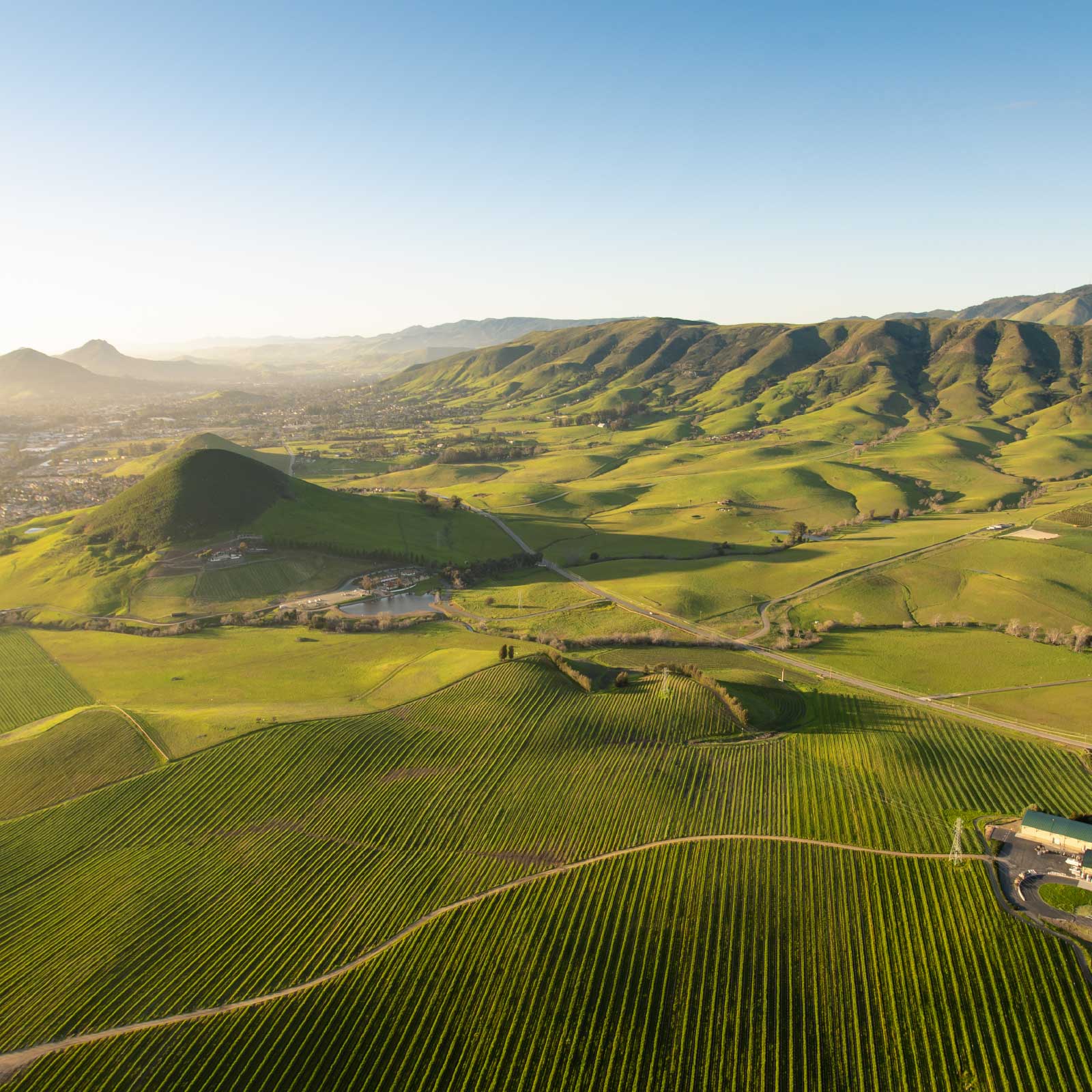 キャップストーン